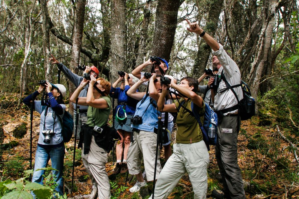 Everglades National Park Tours from Miami – Eco Adventure Meets Relaxation