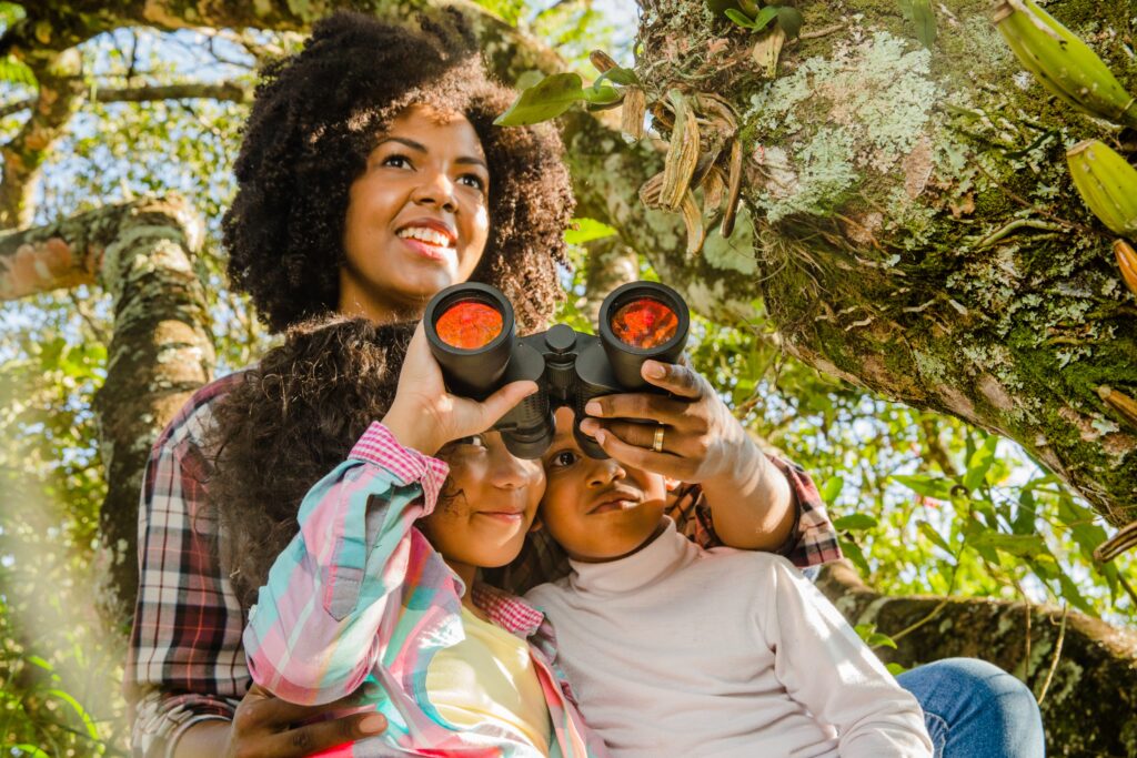 Jungle Island – Family Fun & Wildlife Encounters in the Heart of Miami