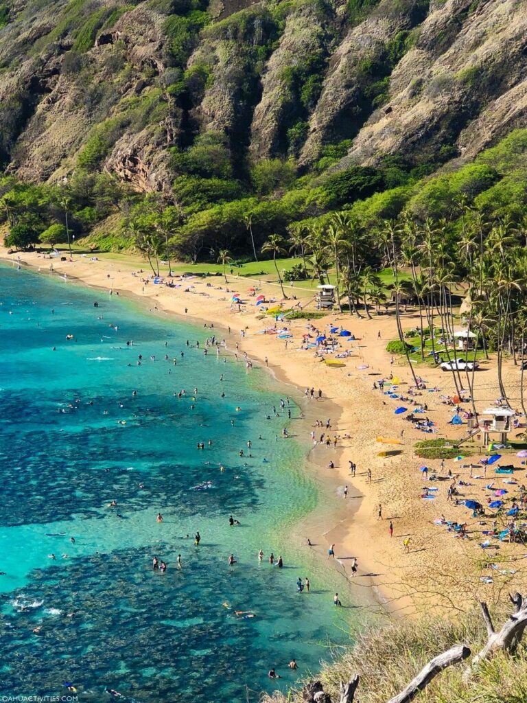 snorkeling Hanauma Bay Oahu
